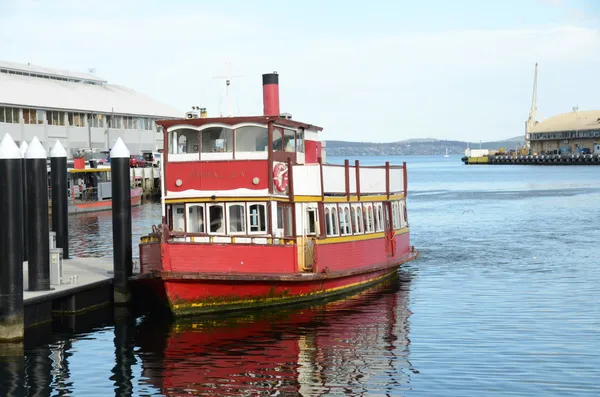 Hobart’s Monday Briefing: Stadium Side-Eyes, Tech-Savvy Ferries, and a Furry Visitor at the Terminal